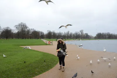 DSC_6195 (Large).JPG